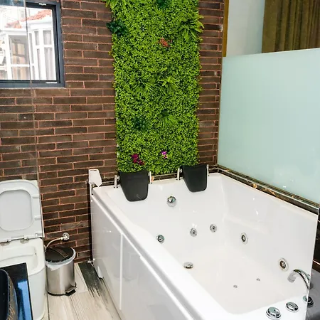 Suite Apartment *